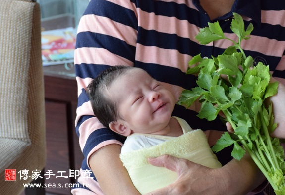 林寶寶(台中北區到府嬰兒寶寶滿月剃頭理髮、免費到府嬰兒剃胎毛儀式吉祥話)。到府剃頭剃胎毛主持、專業拍照、DVD光碟、證書。★購買「臍帶章、肚臍章、胎毛筆刷印章」贈送：剃頭、收涎、抓周，三選一。2015.11.04 照片11